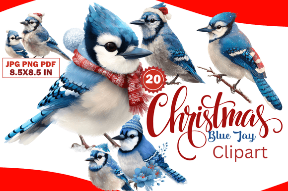 Christmas Blue Jay Clipart